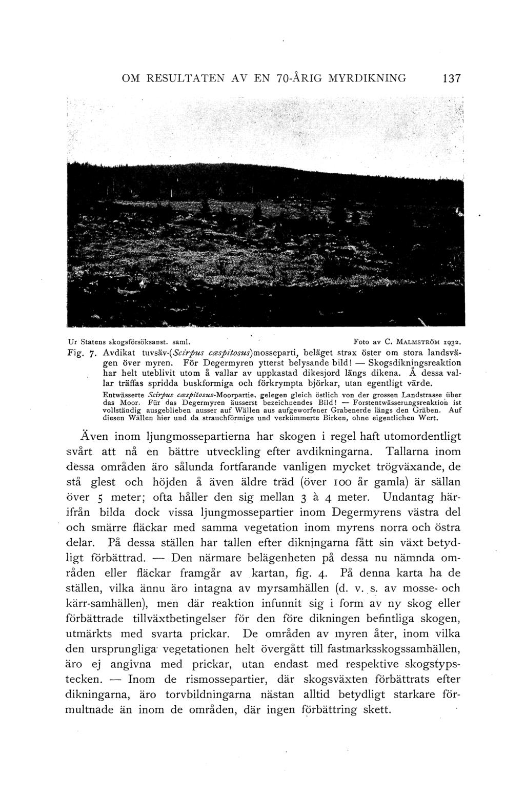 OM RESULTATEN AV EN 70-ÅRIG MYRDIKNING 137 Ur Statens skogsforsöksanst. saml. Foto av C. MALMSTRÖM 1932. Fig. 7. Avdikat tuvsäv-(scirpus caspitosus)mosseparti, beläget strax öster om stora landsvägen över myren.