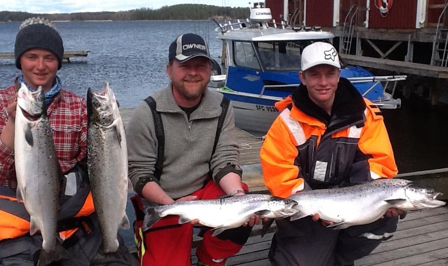 Laxtrolling Vänern Är reseanledningen för två huvudgrupper av besökare. Stugor Laxfiskare Hotell Laxfiskare utan båt. Privatpersoner från hela Skandinavien och mellersta Europa.