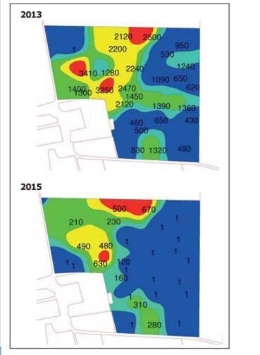 Höga DON-halter- hot mot växtsvensk grynhavreodling Variation i DON-halt 2013 och 2015.