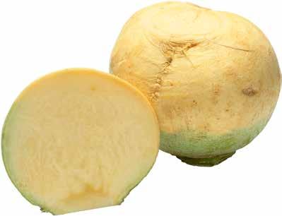 LOKAL MAT 17)= /st 17)= /kg