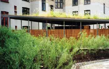 Genom att välja rätt växtlighet till respektive miljö fungerar det gröna som strukturerande och orienterande element i staden.