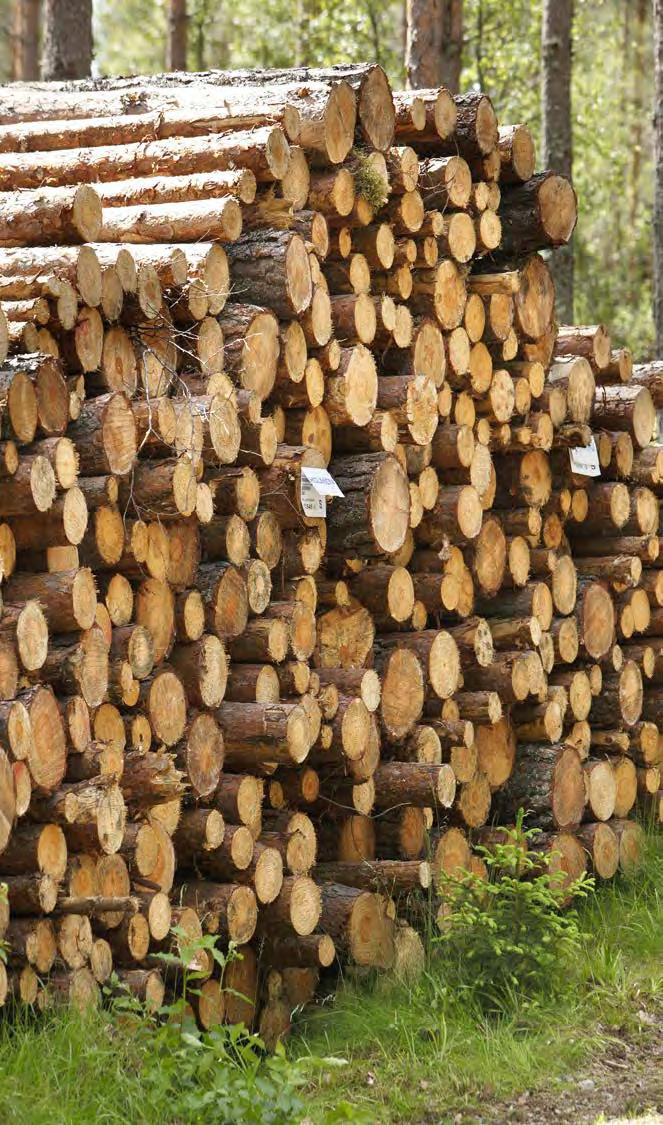 Användningen av skogsråvara Papper, kartong och förpackningar Trä i byggnader och byggnation Trä till möbler, snickerier och inredning Bioenergi, nya material och produkter Andra ekosystemtjänster