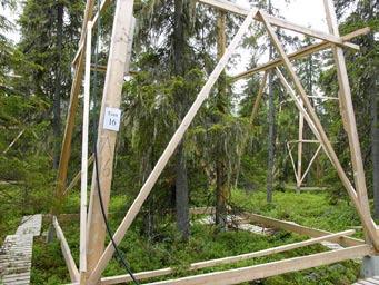 Ekosystemfunktioner, tålighet mot störningar och förmåga att läka efter störningar (resistens och resiliens) är vad jag förstår nästan helt jungfruliga forskningsfält för skandinaviska skogslandskap.