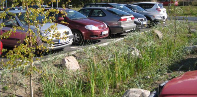 Särby 3_69\3_Dokument\36_PM_Rapport\PM_Säby Figur 9 Ett exempel från Vegtech av en anläggning av en raingarden.