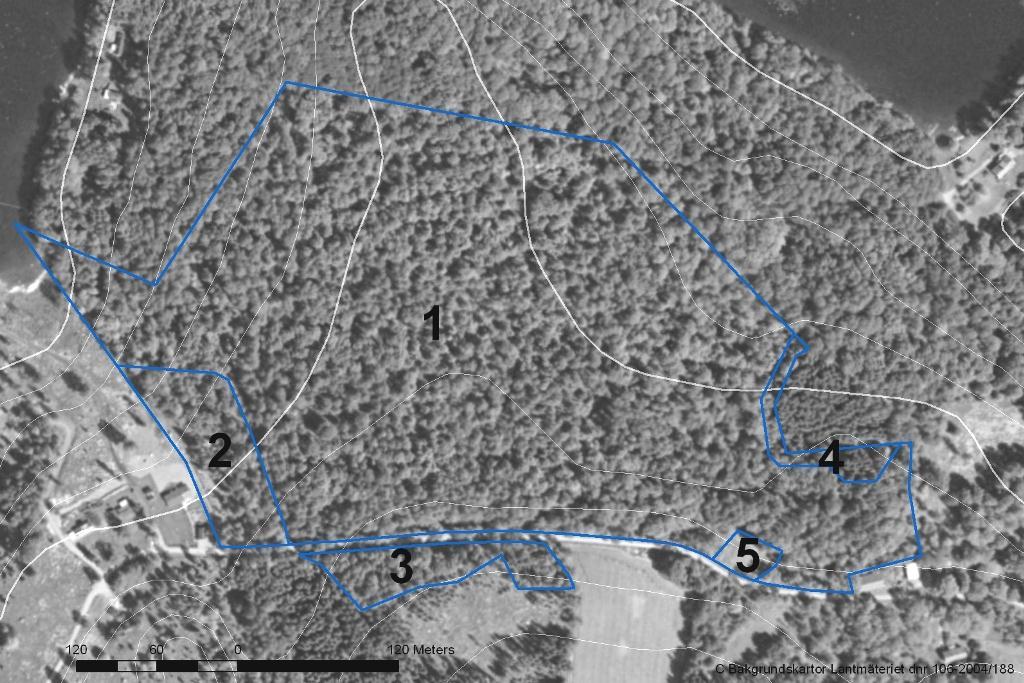 2.1.1.Skötselområde 1; Lövskogen Areal: 13,5 ha Naturtyp enligt Natura 2000: 9160 Näringsrik ekskog 13,5 ha Målnaturtyp: 9160-13,5 ha Beskrivning av lövskogen vid Börshult, Den vidsträckta lövskogen