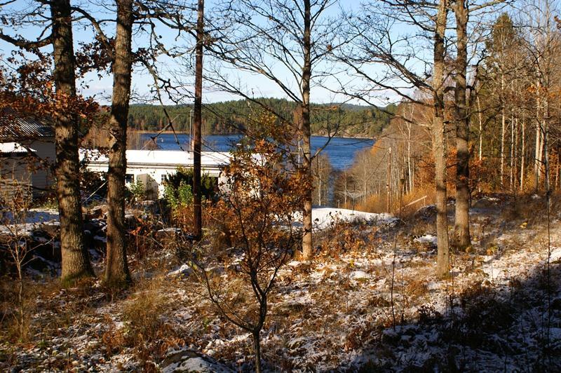Åtgärder Grovgreniga eller vidkroniga träd friställs vid behov från träd med låga naturvärden för att de ska ha god ljustillgång och liten konkurrens från andra träd. Ved lämnas kvar.