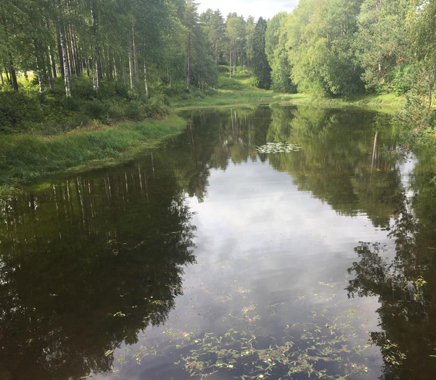 vik/mindre bäckravin som samband med anläggandet av strandpromenaden fyllts till hälften med bergkross.