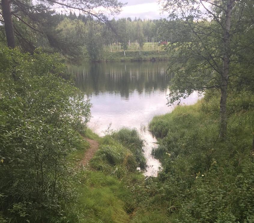 En större ava i Lännbäckens utlopp.