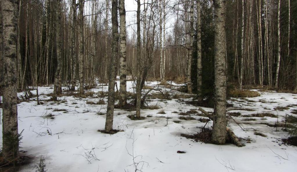 3 Den byggda miljön Inom planområdet finns en gammal jordbruksfastighet bestående av en äldre bondgård