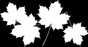 November Söndag 4.11 Kimitoöns församling vill rikta en speciell inbjudan till Er, som sedan senaste Alla helgonsdag mist en anhörig.