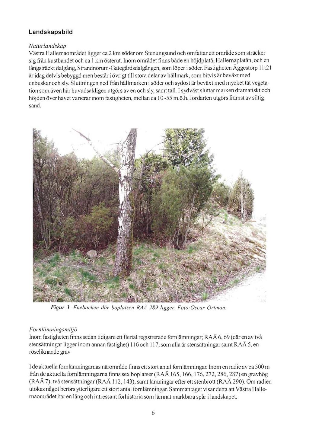 Landskapsbild Naturlandskap Västra Hallernaområdet ligger ca 2 km söder om Stenungsund och omfattar ett område som sträcker sig från kustbandet och ca 1km österut.