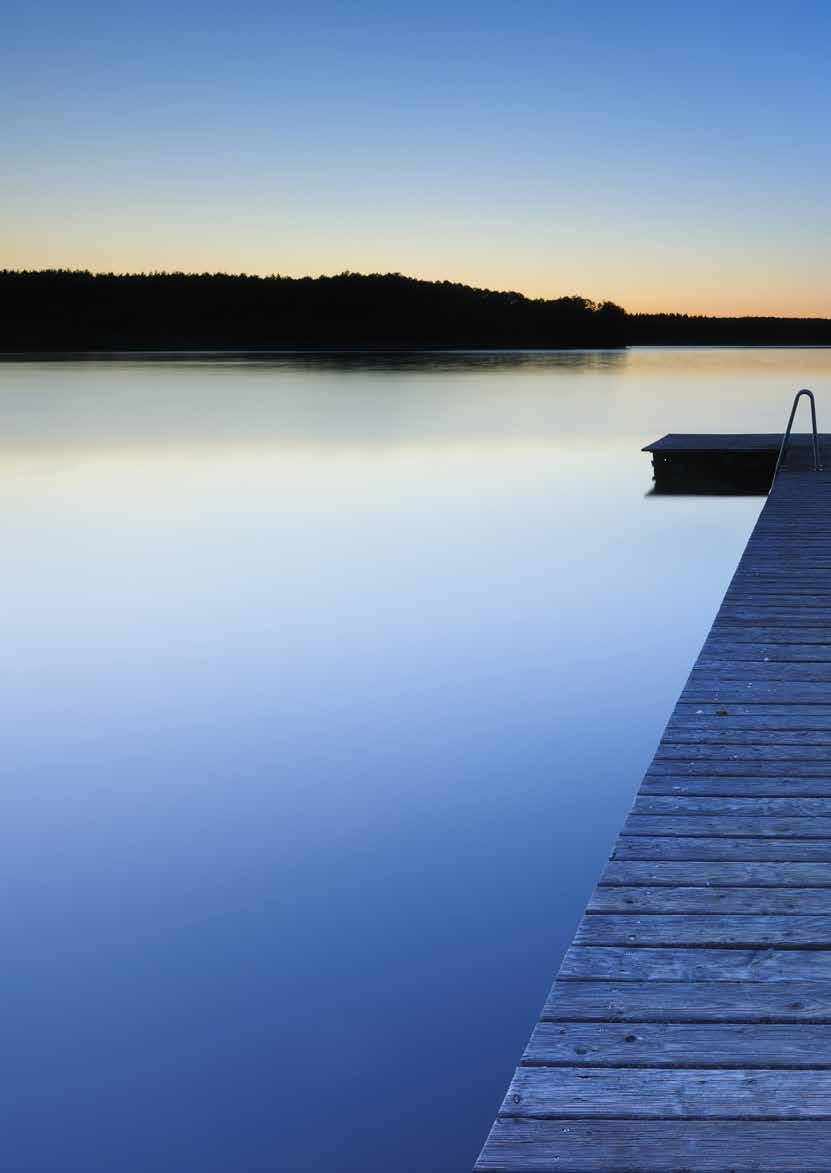 2 VILLKOR SEGELBÅTSFÖRSÄKRING 2014-01-22 Svedea är ett nischat bolag med en tydlig ambition: Att bli nummer ett i de marknadssegment där bolaget är verksamt.