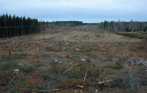 Översikt över Ryssgärdet efter första avbaningen.