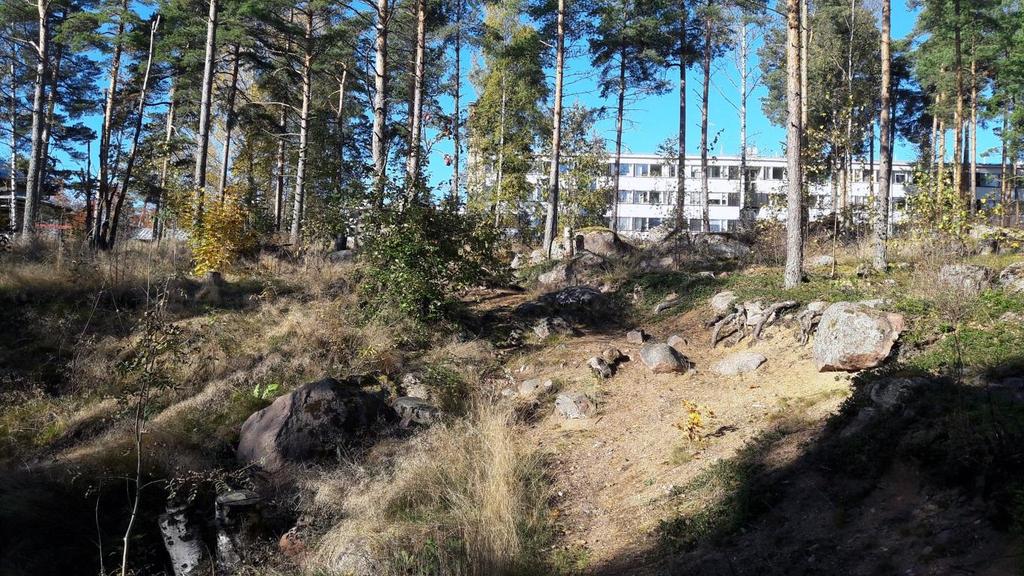 9 Mellan Söderåsens flervåningshus och Kretsgången finns två gamla grustäkter där det finns en brant, sandig solbelyst sluttning samt vegetation som är typisk för sådana öppna sandmarker såsom