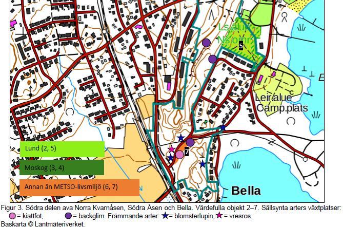 10 Kartutdrag från rapporten över kartläggningen av Kvarnåsens naturtyper och skogbevuxna livsmiljöer i Lovisa 2016 (Salminen 2016).