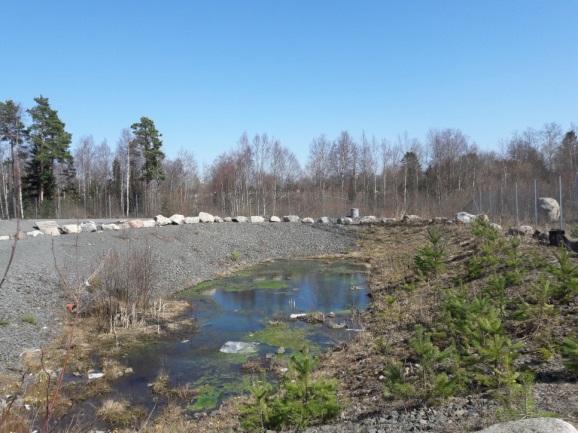 I östra delen av fastigheten har företaget en egen dagvattendamm.