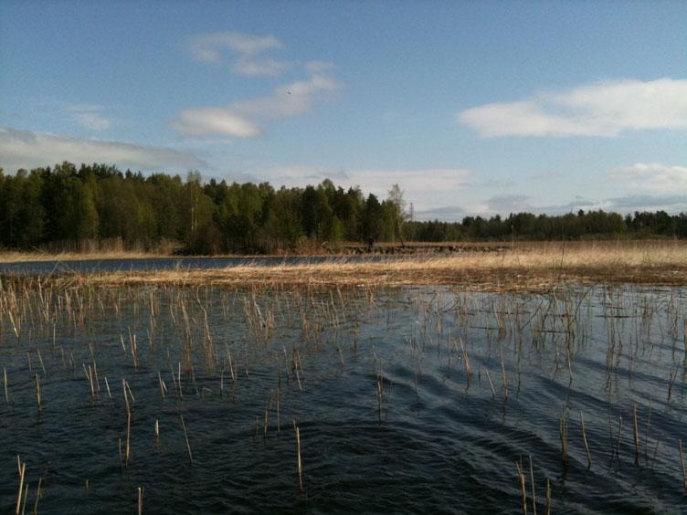 RAPPORT Karlstads kommun SEDIMENTPROVTAGNING, GRUNDVIKEN UPPDRAGSNUMMER 1331177100 Miljöteknisk markprovtagning av sediment i Grundviken KARLSTAD 2010-06-16 Sweco Infrastructure AB Sara Häller 1 (11)