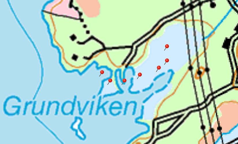 två grundaste proven ihop till ett prov (0-0,2 m). Två samlingsprov från djupare skikt (S1003 + S1007 0,5-0,6 m samt S1004 + S1006 0,4-0,5 m) skickades också in på analys.