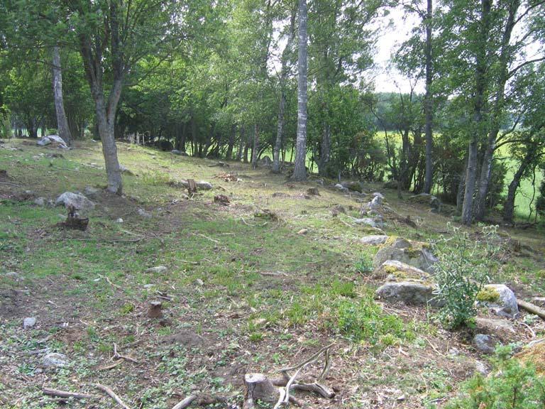 Stensträngar och fossil åkermark vid