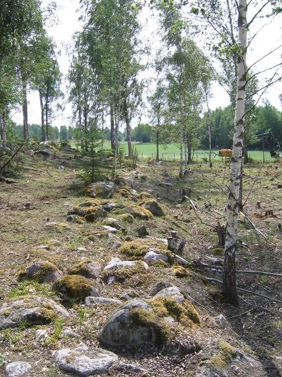 Figur 9. Den sydvästra delen av stensträngen fornlämning 70.