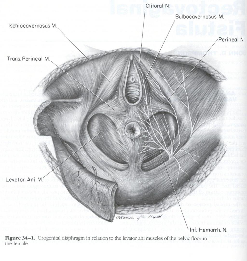 Level III