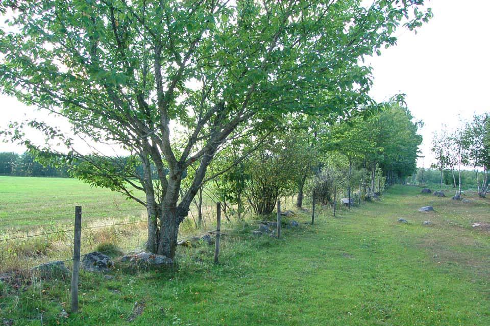 Naturinventering av område vid Kultomten Skövde kommun Underlag för