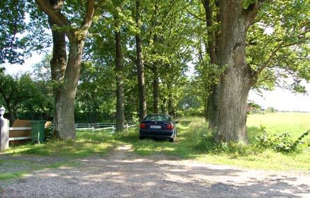 Fisk och andra vattenorganismer är beroende av skuggande träd och trädrötter. Lövskogen bildar tillsammans med vattendraget en helhetsmiljö som bör lämnas utan ingrepp.
