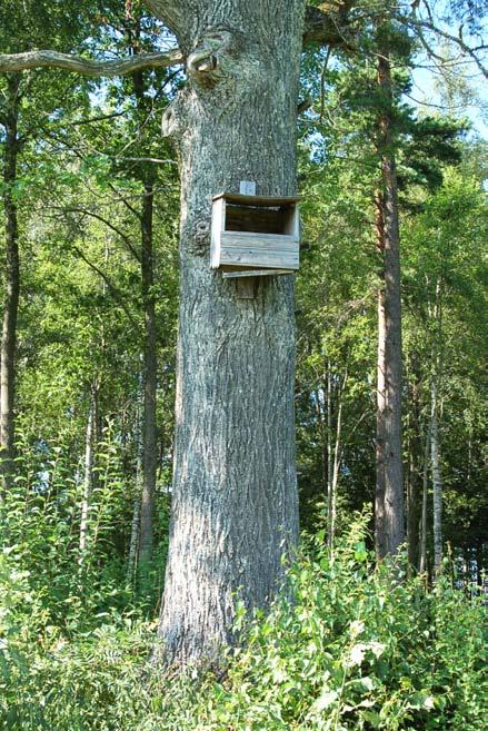 3. Bryn med ekar Enstaka grova ekar. Viss betydelse för landskapsbild och biologisk mångfald. Bryn med enstaka lite grövre ekar. Inga särskilda arter noterades.