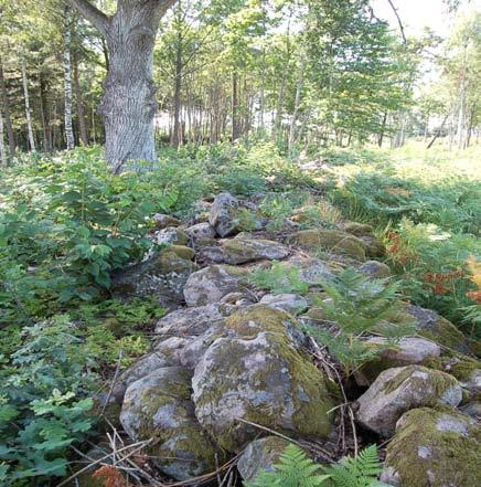 : Liten kort, kraftig ca 1 m bred och 60-70 cm hög. Sannolikt har den tidigare fortsatt över på andra sidan av Östra leden. En kraftig ek växer vid sidan om muren.