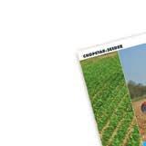 radsåmaskin JUMBO -