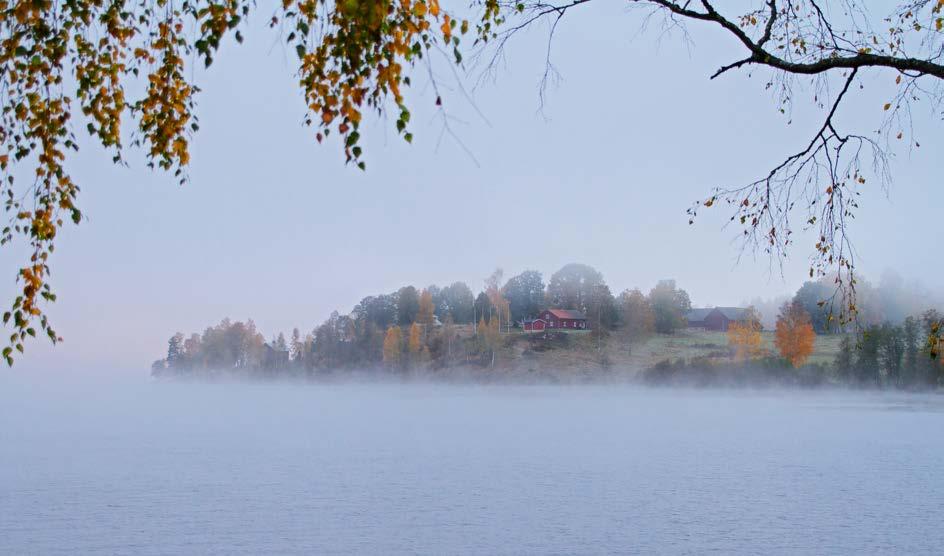 Sunne kommun