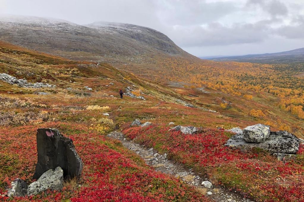 MÅLSTYRNING PÅ NATURVÅRDS- VERKET Förvaltarträffen Höör 2 4 oktober Maano Aunapuu och Erik