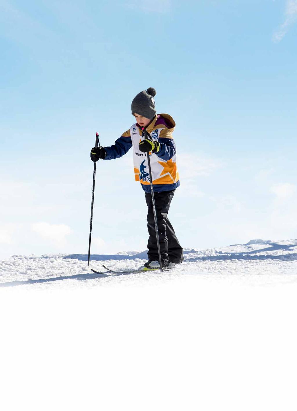 Inom Svenska Skidförbundets föreningar finns det många olika grenar: alpint, längd, skicross, snowboard, backhoppning, freeski, puckel, telemark och speedski.