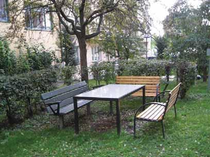 Yviga buskar som har växt ur