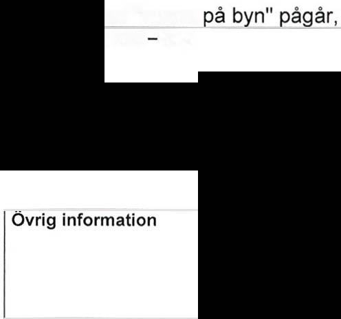 långsiktiga planen har påbörjats och beräknas vara klart innan 2011 års utgång.