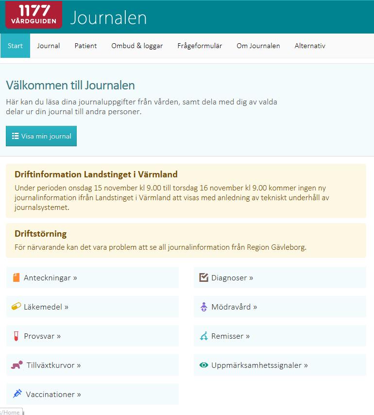 Vad visas i Journal via nätet?