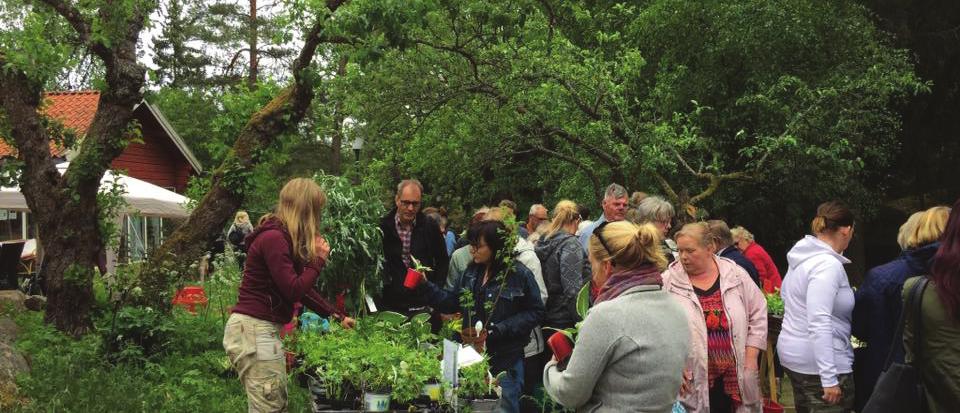 Höstväxtloppis söndagen 2 september I år kör vi höstväxtloppis på samma ställe som vårens loppis, på Café Nytorp vid Källbrinks IP i Huddinge.