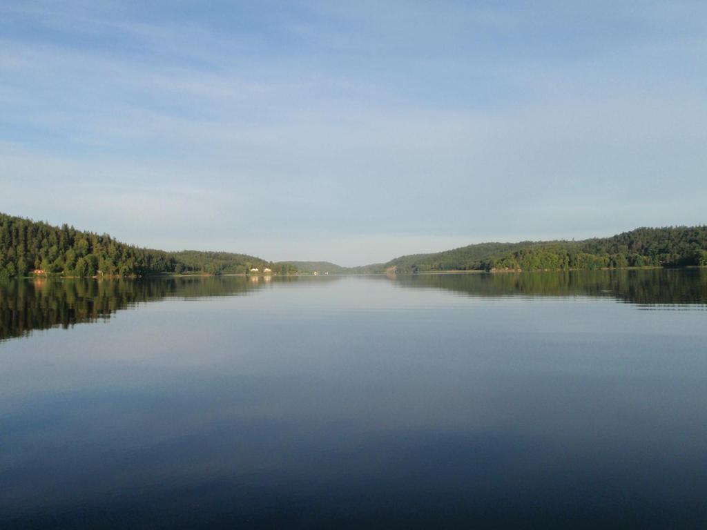 Fisk i Landvettersjön Abborre, gärs, lake,