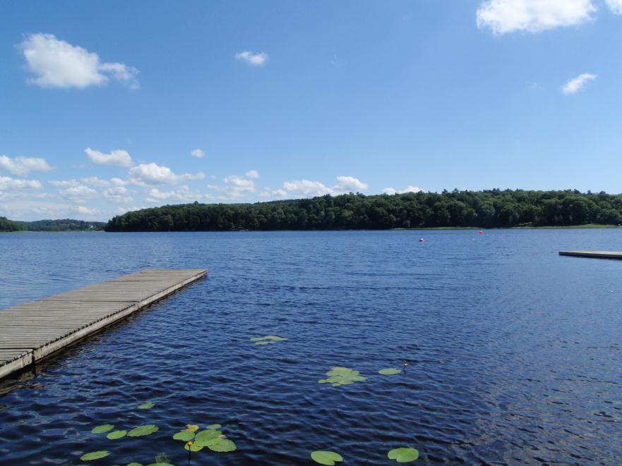 Limnologi i Rådasjön och Landvettersjön 2011 Makrofyter i Rådasjön Vattenkemi