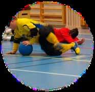 PROVA -PÅ DAG I GOABALL FÖR PERSONER MED SYNNEDSÄTTNING 2 DECEMBER 2017 Riksidrottsförbundet är tydliga med att målet idrott för alla även gäller personer med funktionsnedsättningar.
