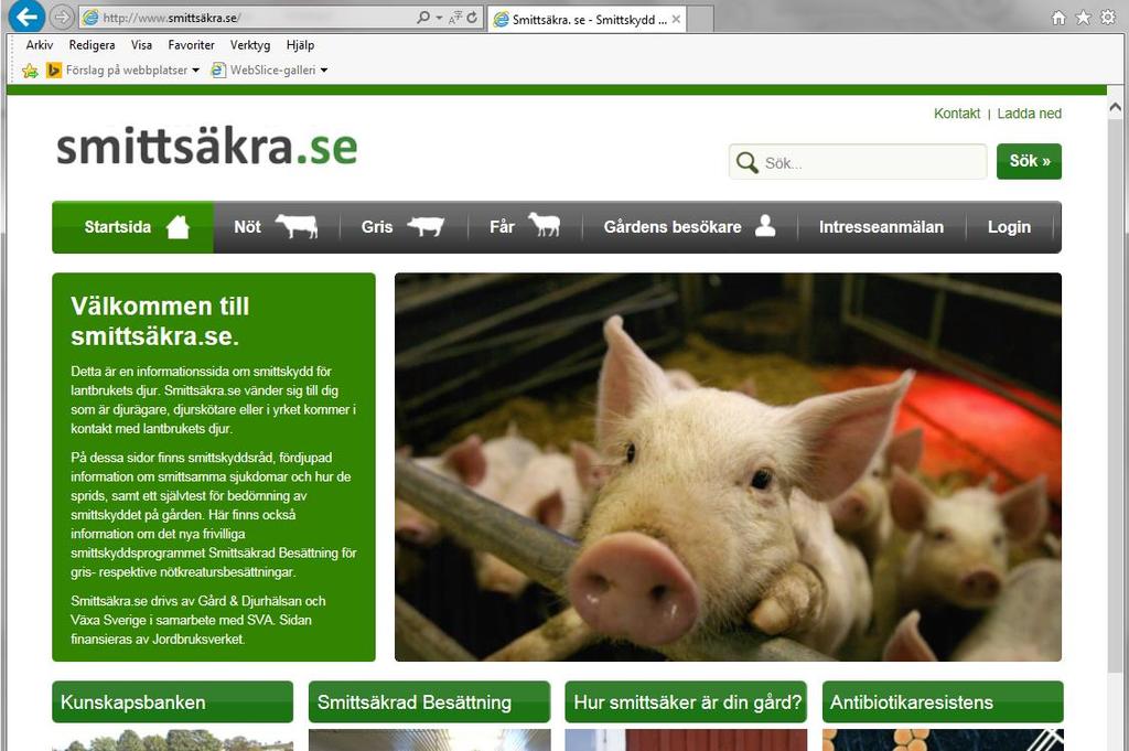 Lathund till webbsystemet för djurhållare Innehåll Inloggning... 1 Byte av lösenord... 2 Starta anslutning.