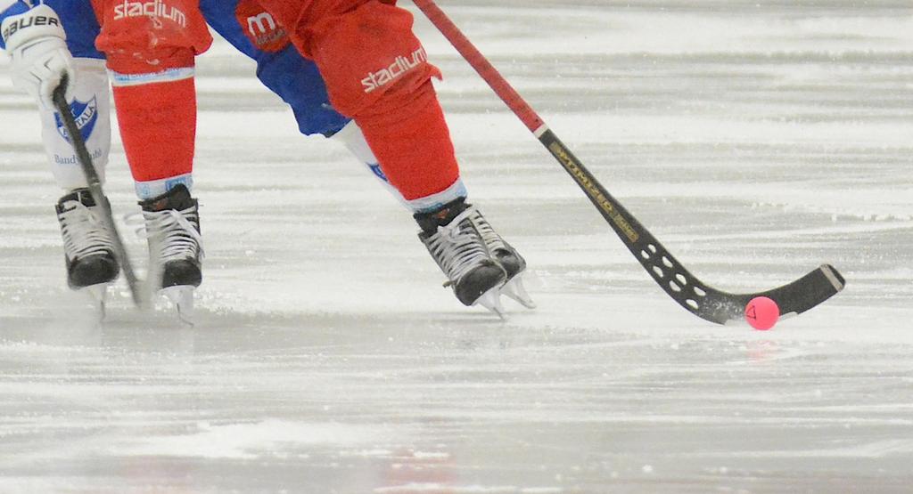 Laik U säsongen 17/18 Div 1 Västra: Blåsut BK Kareby/Kungälv Mölndal Bandy SK Höjden Sunvära SK Surte BK Vargön BK Lidköpings AIK U Vårt representationslag spelar kommande säsong 2017/18 i den nya