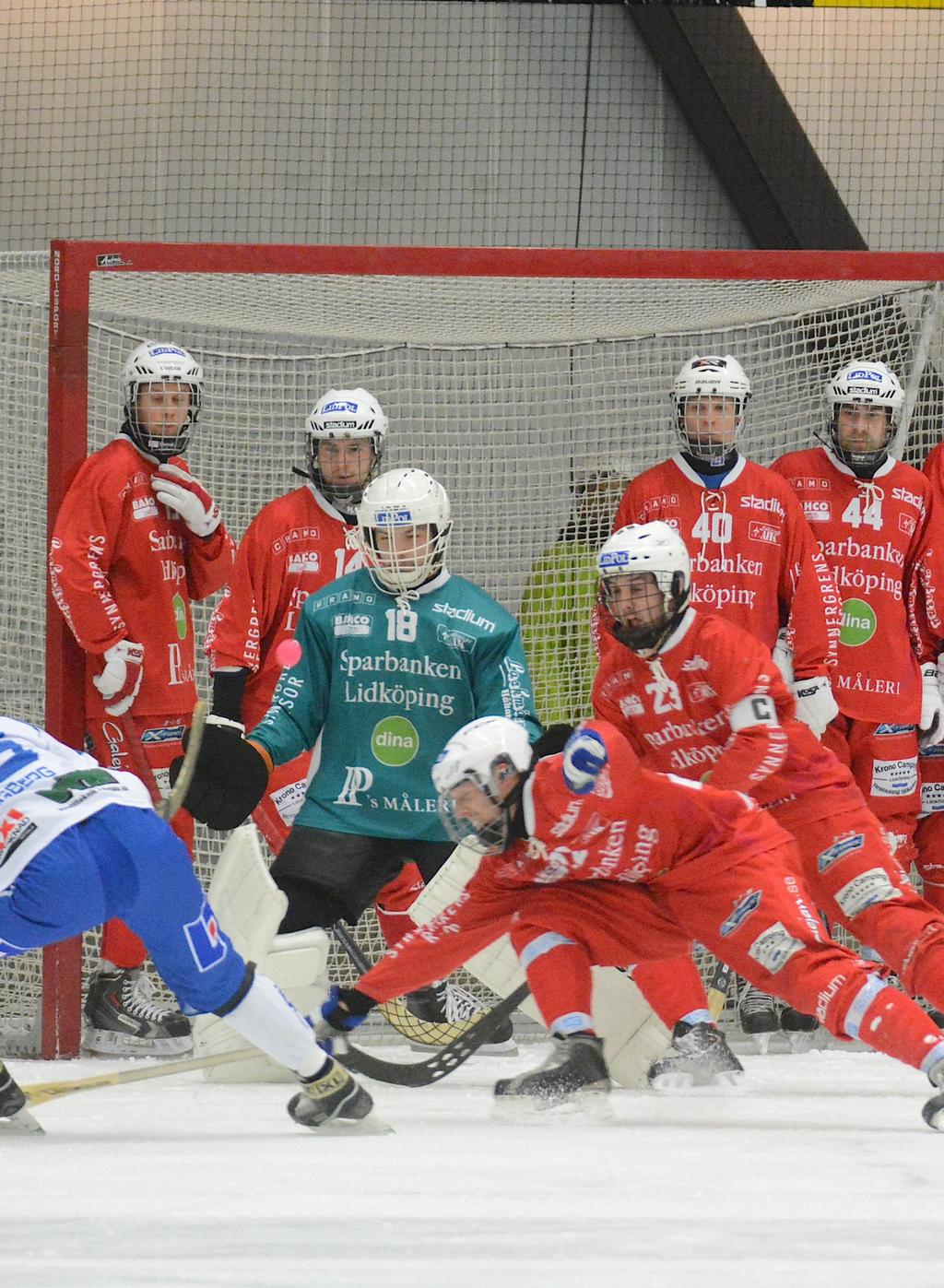 LIDKÖPINGS AIK STYRELSE Ingemar Sixtensson Ordf. Marknadsansvarig, AU Marcus Sandgren Sekr. o Sportchef, AU Carina Johansson Kassör. Johan Högwall Bitr. kassör o IT-ansvarig.