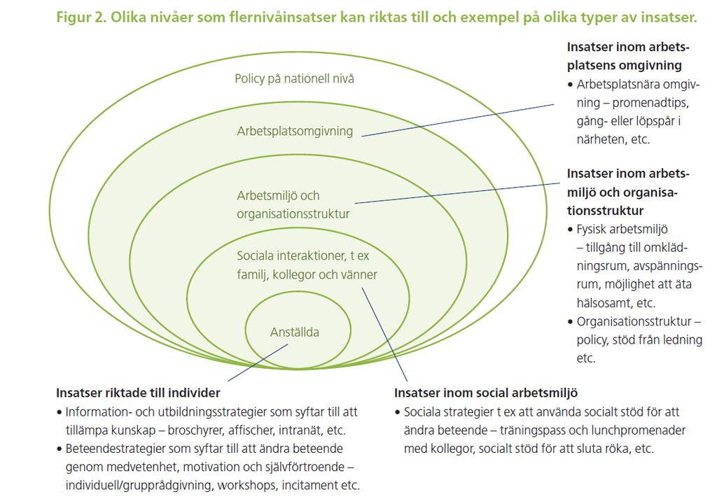 Fördelar med ett brett perspektiv Når dem som annars är svåra att nå Påverkar en större grupp av anställda samtidigt Använda befintliga strukturer