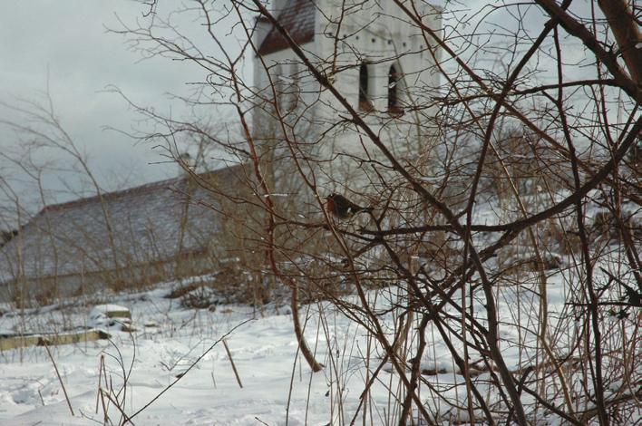 Arkeologisk förundersökning genom schaktningsövervakning 2009 Väster om Falsterbo kyrka RAÄ FALSTERBO