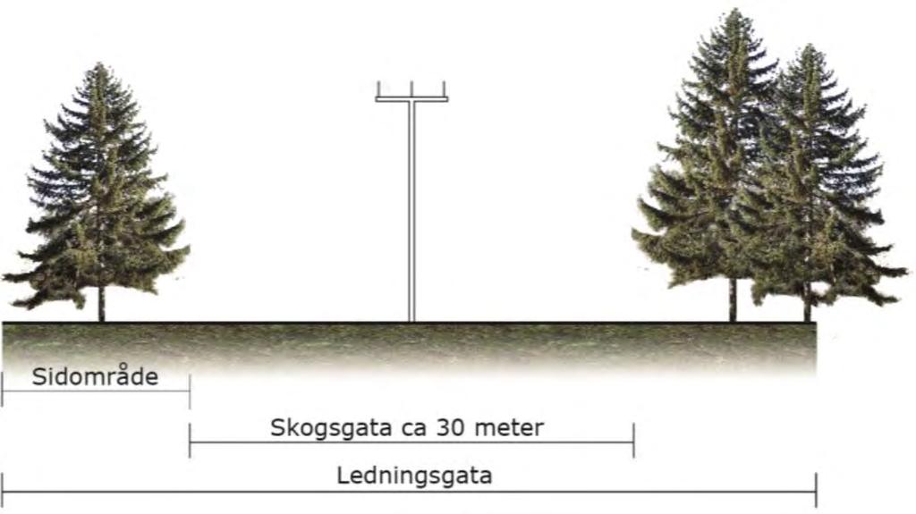 2.2 Utformning av ledning 2.2.1 Luftledning Som luftledning kommer ledningen att utformas som en regionnätsledning i enlighet med Svensk standard med enkelstolpskonstruktion (se figur 5) och 45 kv driftspänning.