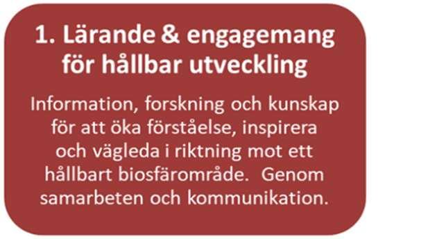 Motivering av våra fem insatsområden Nedan följer en överblick av hur våra fem insatsområden motiveras av och hänger samman med de olika styrdokumentens målsättningar.