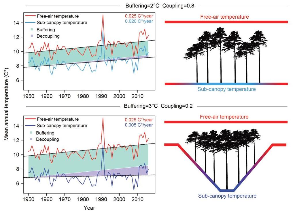 Mikroklimatändring