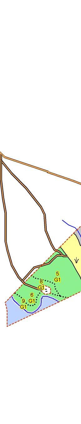 SKOGSKARTA Plan Kvarntorp 1:2
