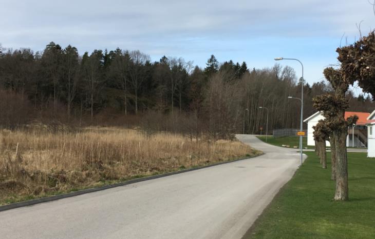 Söder om planområdet är det på Tångerödsvägen, i höjd med bebyggelse, rekommenderad hastighet 30 km/tim. Se Figur 4 för foto över Tångerödsvägen. Figur 4. Tångerödsvägen i höjd med planområdet, vy norrut.